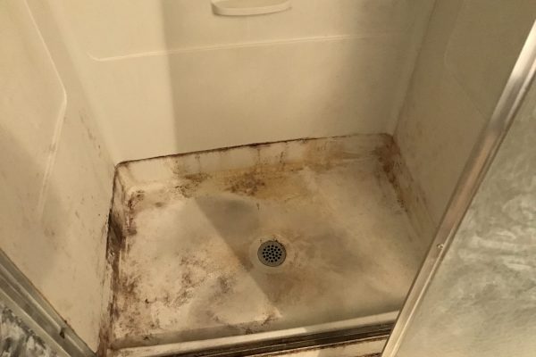 Mold2 Mold2